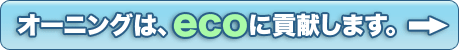 �I�[�j���O�́Aeco�ɍv�����܂��B